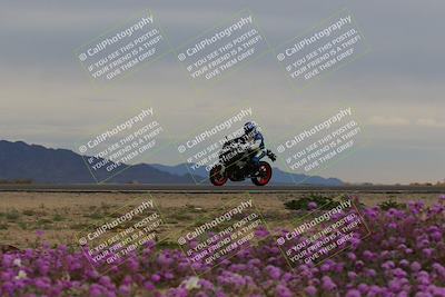 media/Jan-14-2023-SoCal Trackdays (Sat) [[497694156f]]/Turn 14 Exit Bloomig (145pm)/